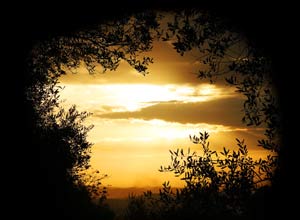 Olivenhain Abendstimmung