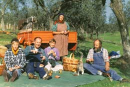 Olivenernte Picknick