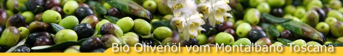 Bio Olivenöl vom Bauern Toscana