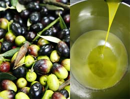 Oliven und Olivenöl in der Ölpresse